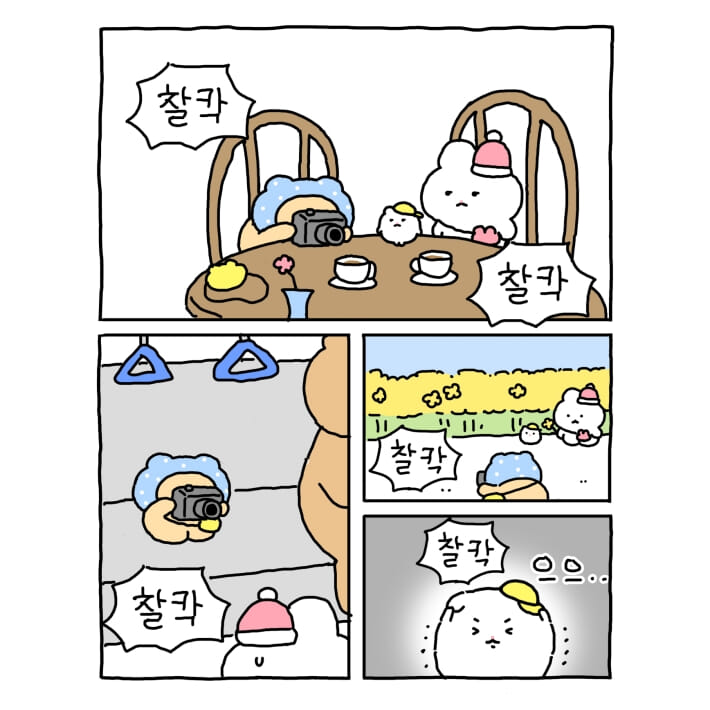 카드뉴스5