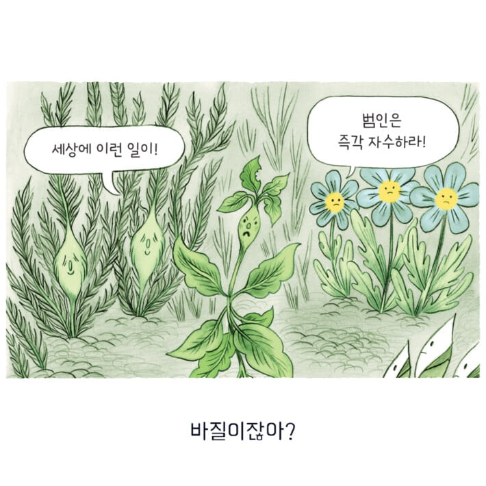카드뉴스3