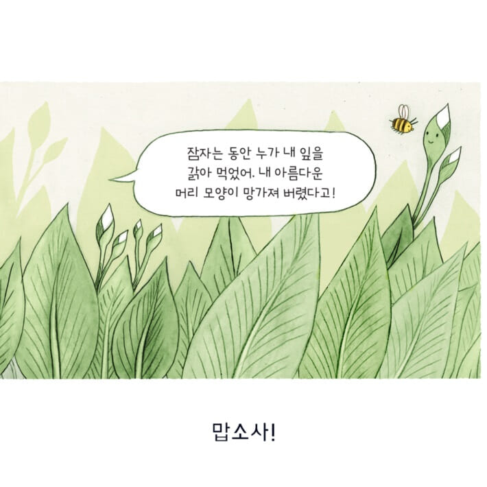 카드뉴스6