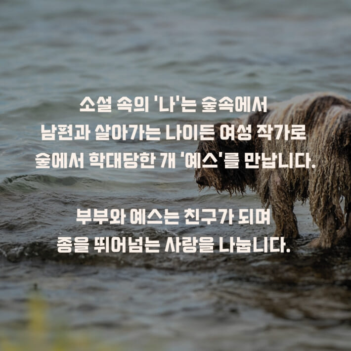 카드뉴스6