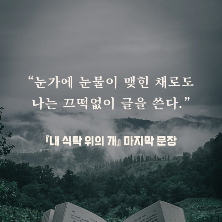 카드뉴스8