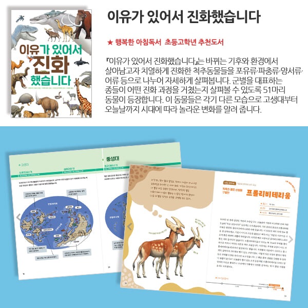 봄나무 초등고학년 행복한 아침독서 추천도서 12권세트/상품권5천