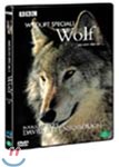 늑대 : 와일드라이프 스페셜