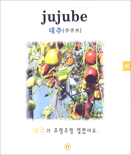 엄마 아빠와 함께하는 첫 낱말 사전