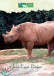 디스커버리 : 마지막 코뿔소