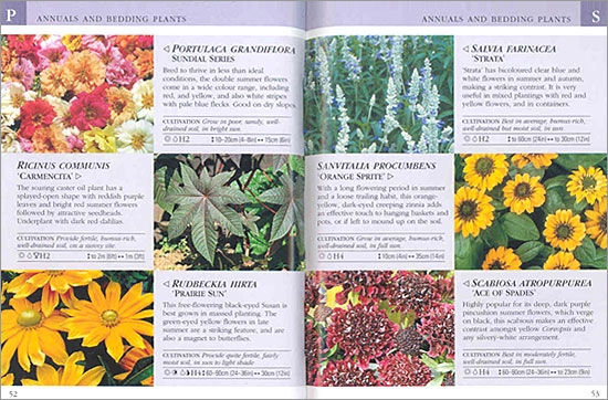 RHS Good Plant Guide