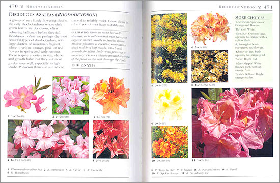 RHS Good Plant Guide