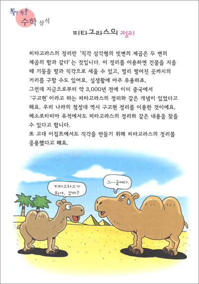 스피드 수학왕 19단