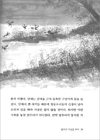 반달 저수지 수달 달래