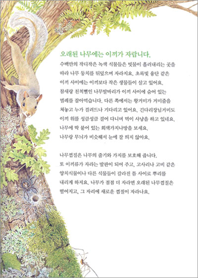 숲은 다시 울창해질 거야