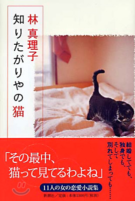 知りたがりやの猫