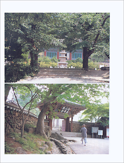 한국 전통건축과 동양사상