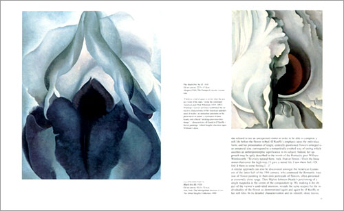 Georgia O'Keeffe, 1887-1986 : Flowers in the Desert