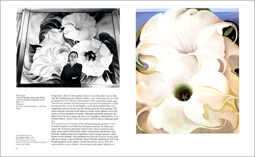 Georgia O'Keeffe, 1887-1986 : Flowers in the Desert