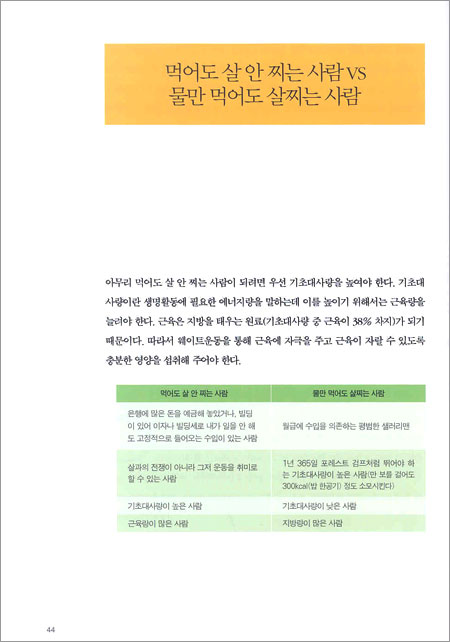 몸만들기 파워특강