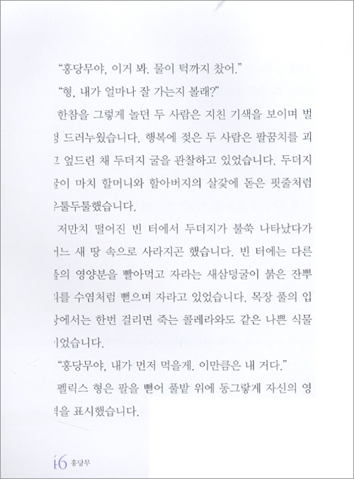 홍당무