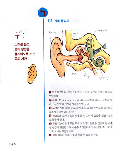 1학년을 위한 특별한 백과사전