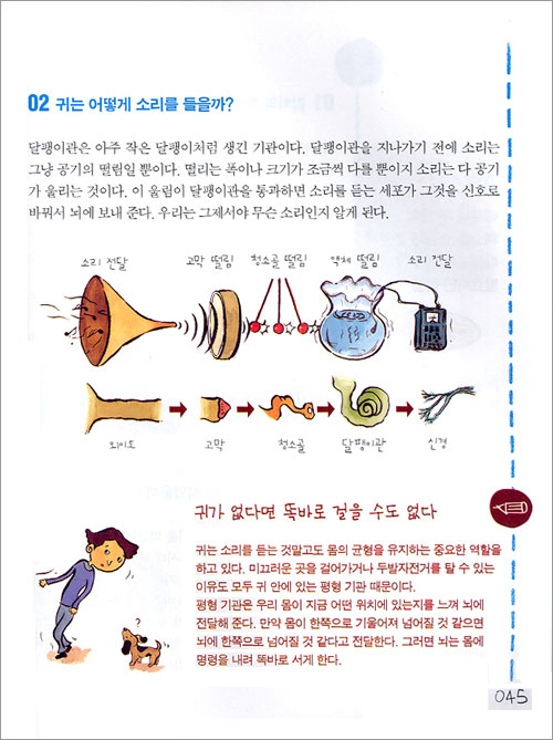 1학년을 위한 특별한 백과사전