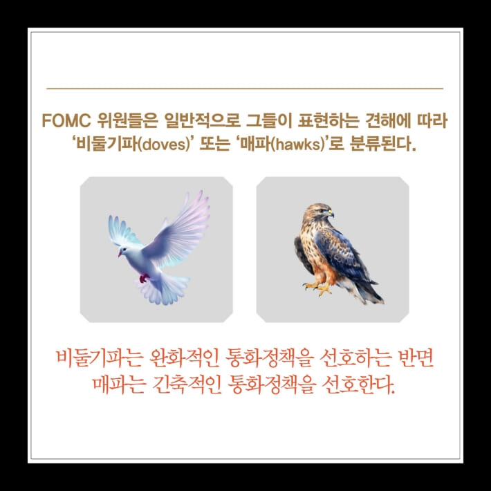 카드뉴스8