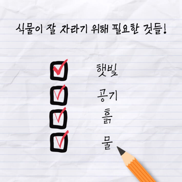 카드뉴스5