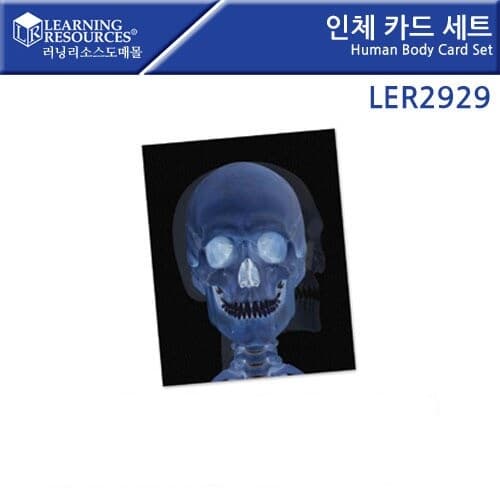 [러닝리소스] 인체 카드 세트 LER2929