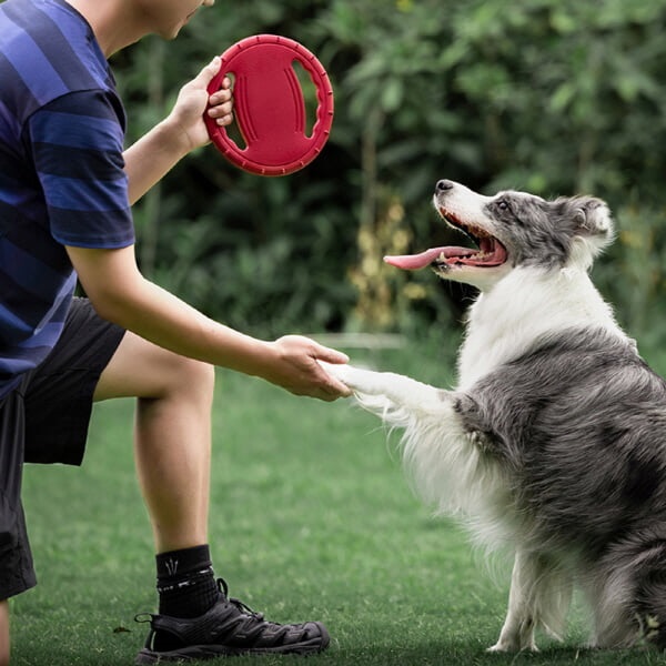 PH 강아지 EVA 장난감 원반 플라잉디스크 9007