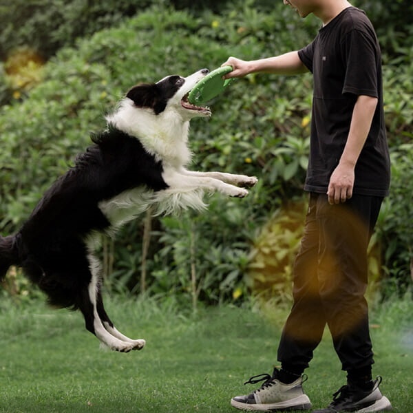 PH 강아지 EVA 장난감 원반 플라잉디스크 9007