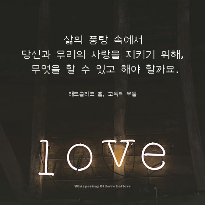카드뉴스4