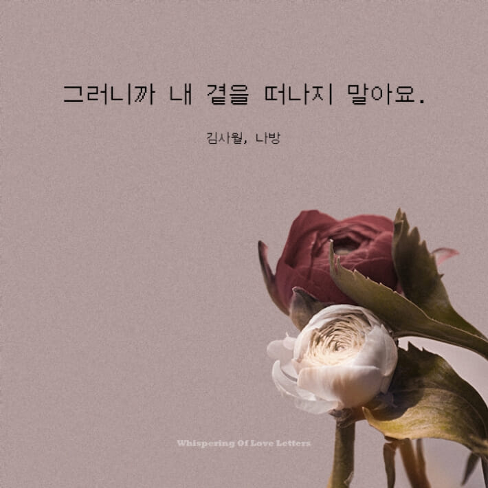 카드뉴스7