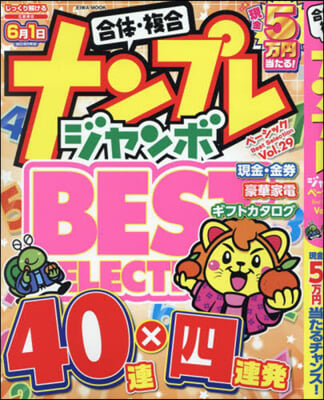 ナンプレジャンボベ-シック BestSelection Vol.29 