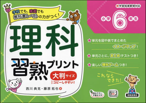 理科習熟プリント 小學6年生 大判サイズ