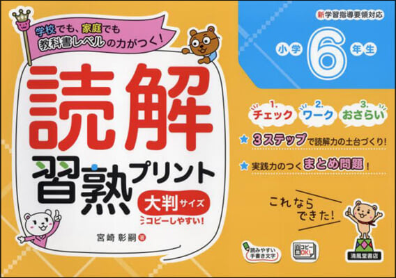 讀解習熟プリント 小學6年生 大判サイズ