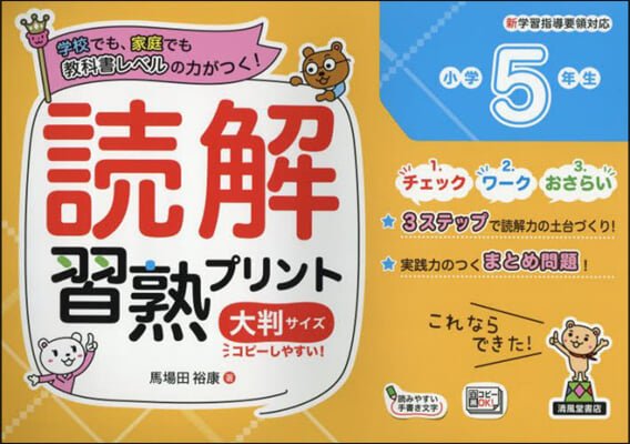 讀解習熟プリント 小學5年生 大判サイズ