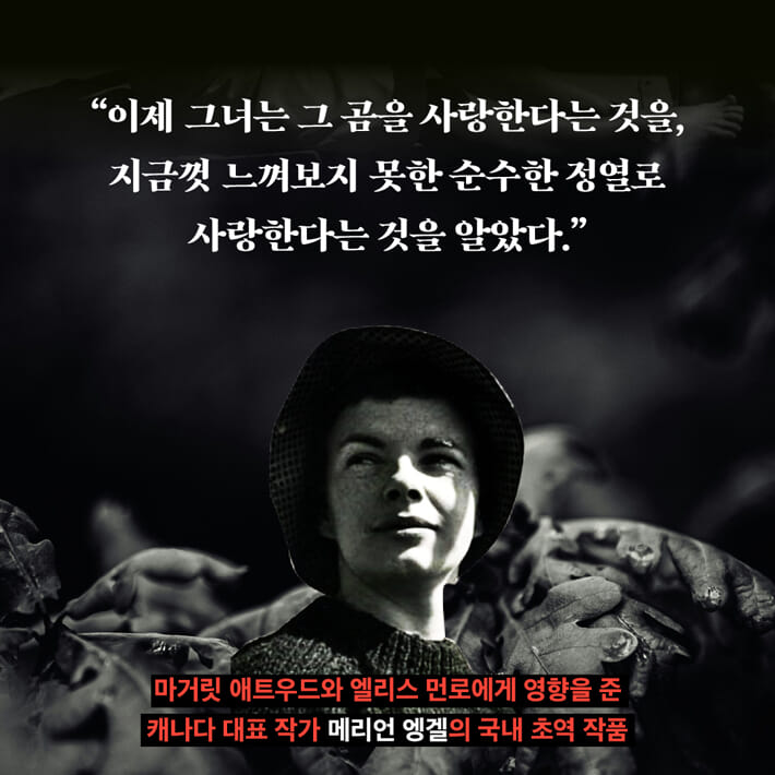 카드뉴스1