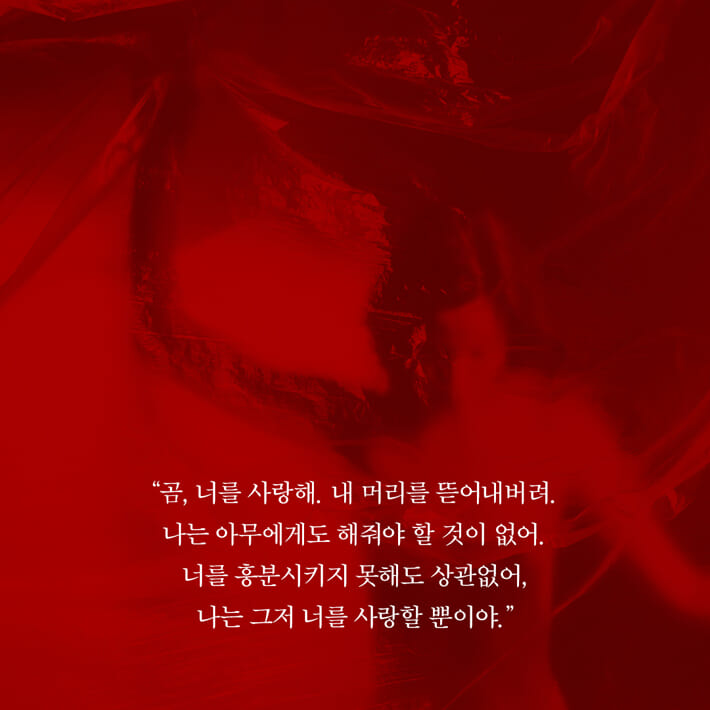 카드뉴스6