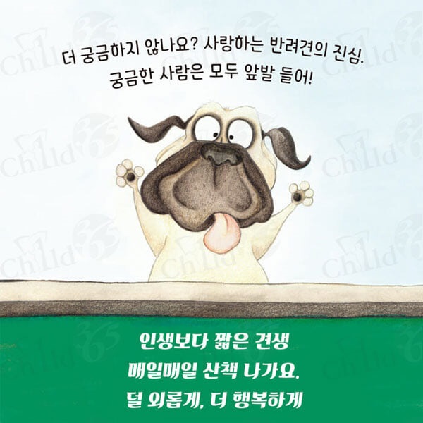 국민서관 4-7세 그림동화 B 40권세트/상품권2만