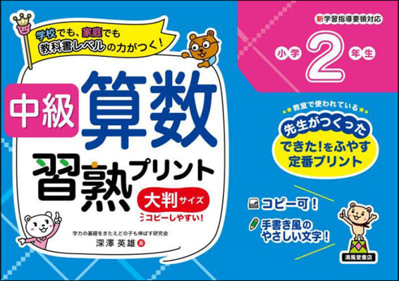 中級算數習熟プリント 小學2年生 大判サイズ 