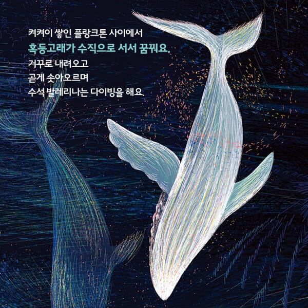 카드뉴스1