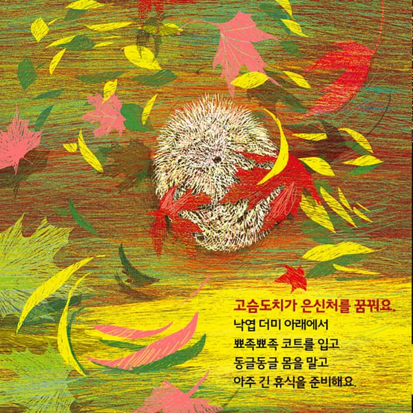 카드뉴스3