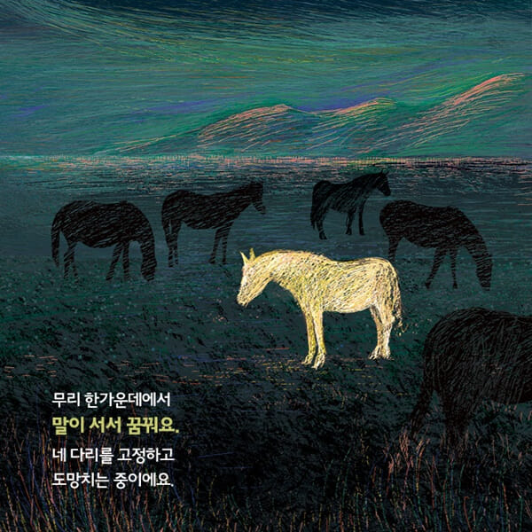 카드뉴스5