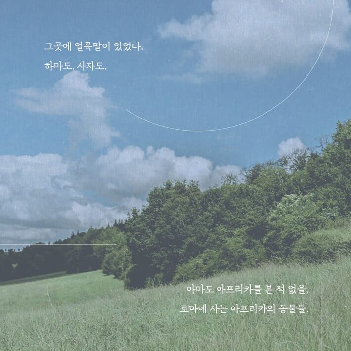 카드뉴스6