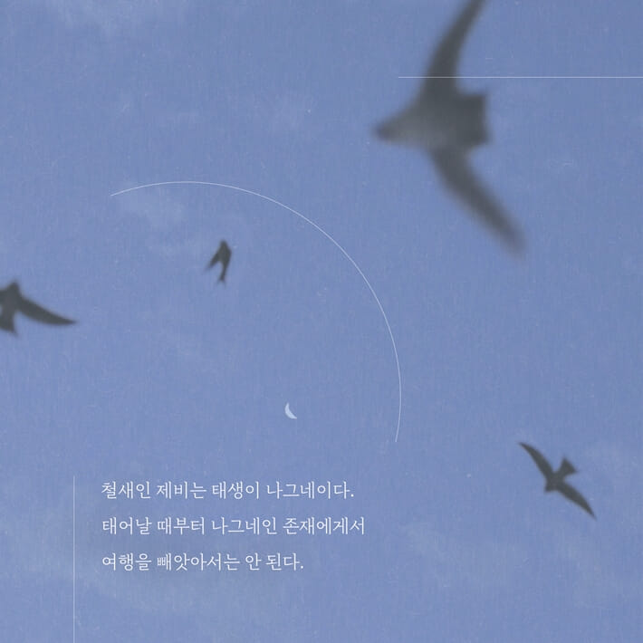 카드뉴스7