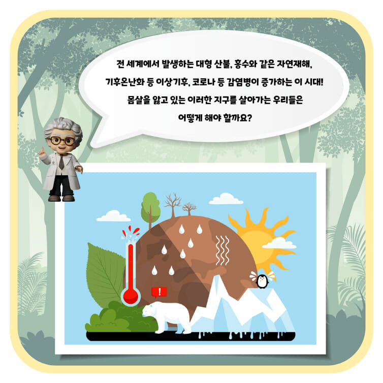 카드뉴스