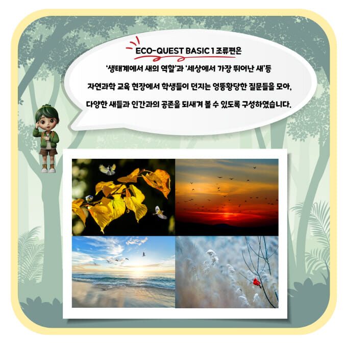 카드뉴스