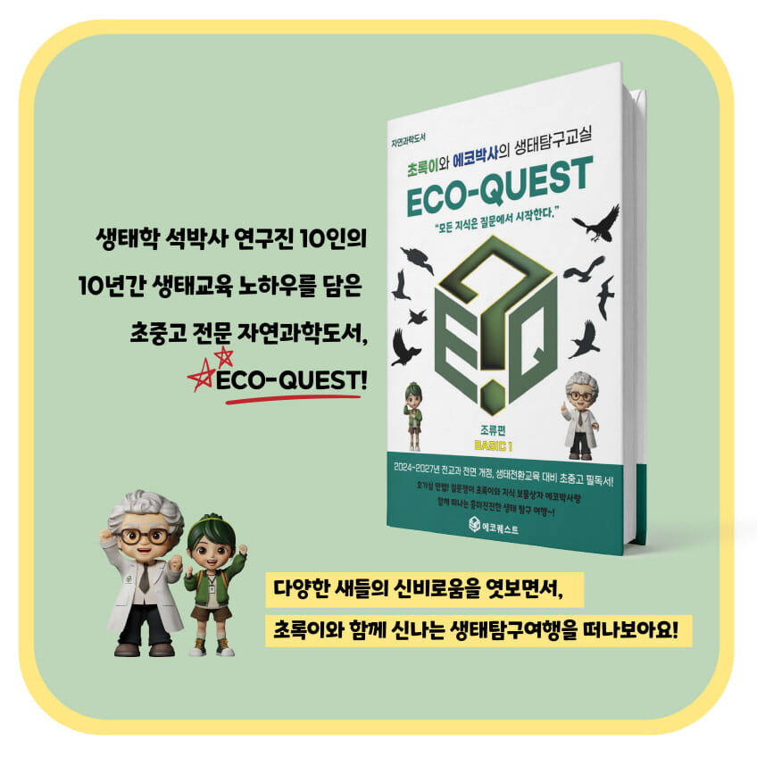 카드뉴스