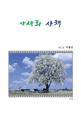 야생화 산책