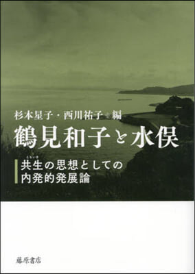 鶴見和子と水また