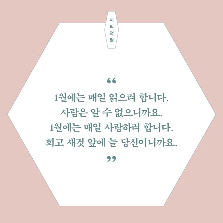 카드뉴스7