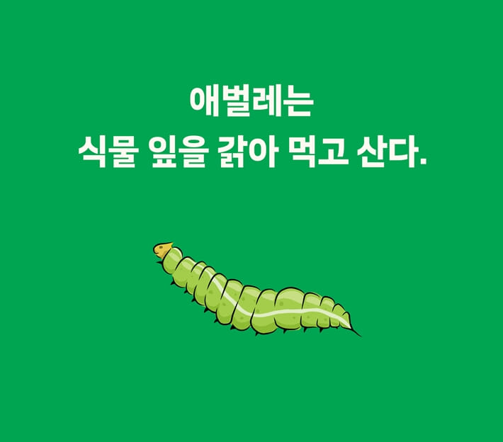 카드뉴스1