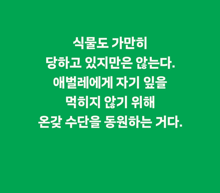 카드뉴스2
